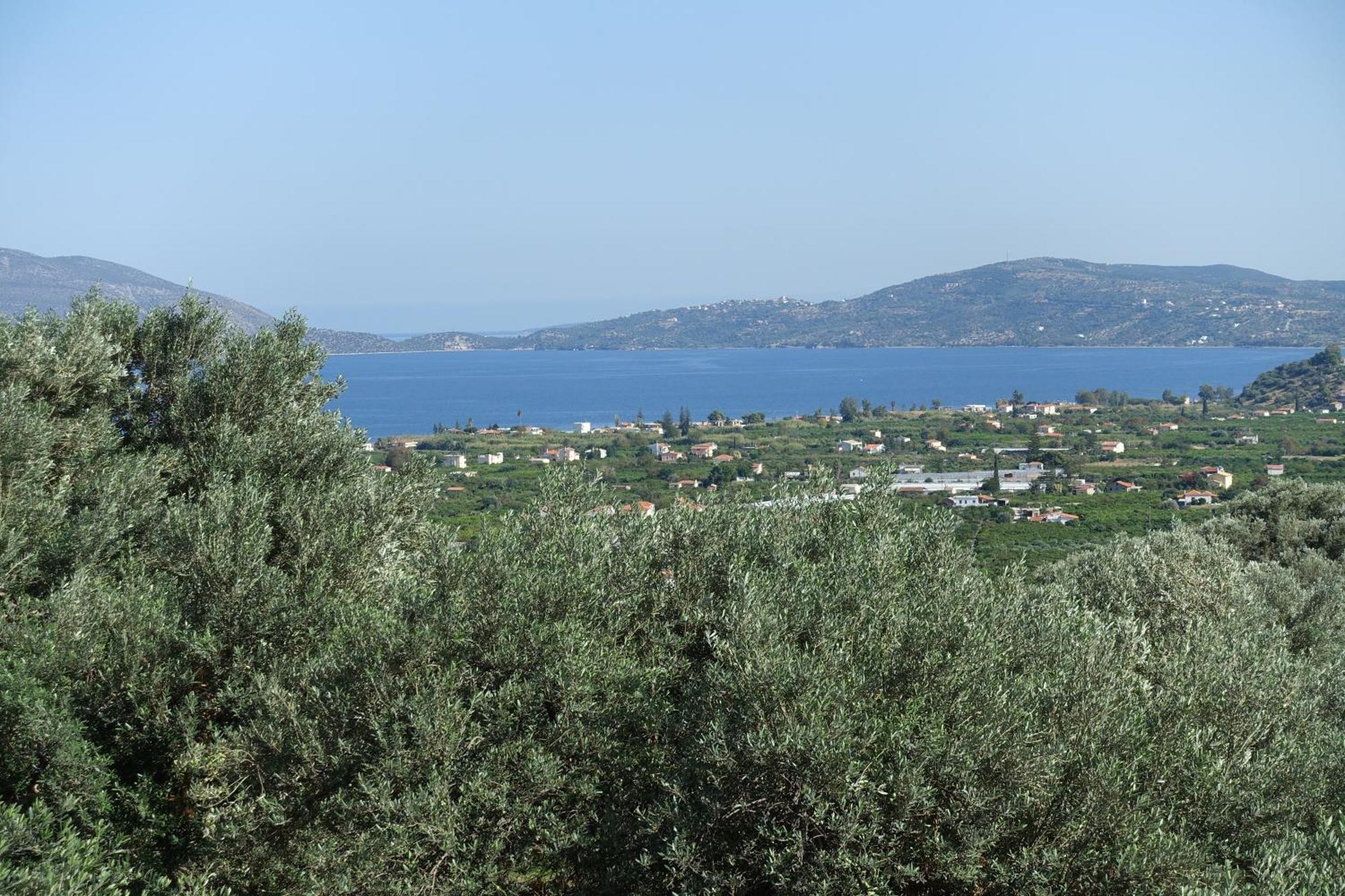 Studio In Villa In Kalloni Direkt Am Meer Εξωτερικό φωτογραφία